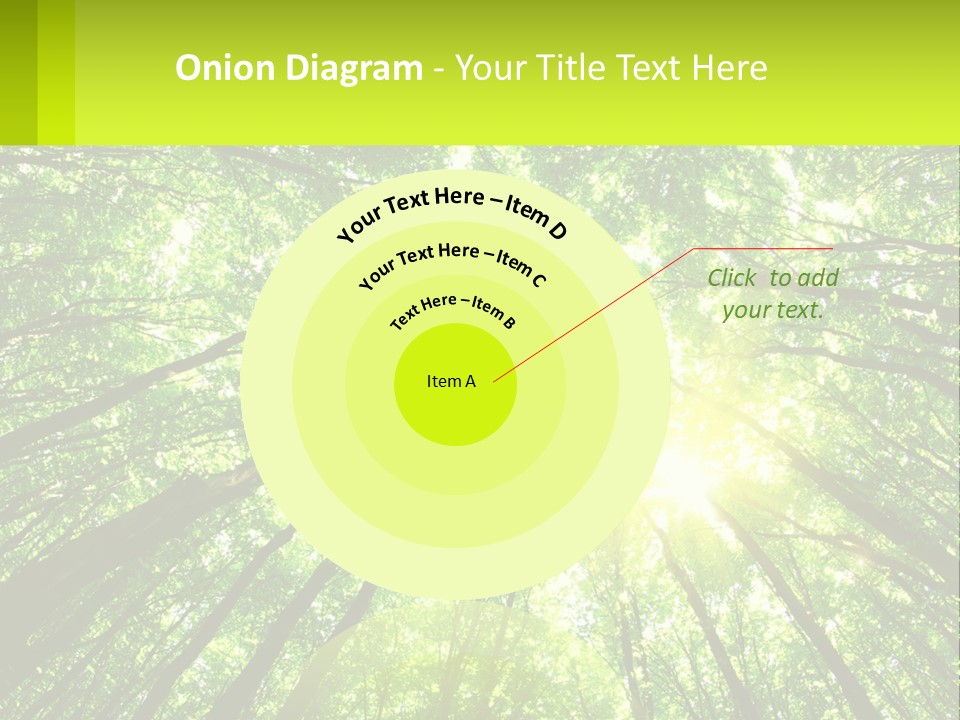 A Green Forest With The Sun Shining Through The Trees PowerPoint Template