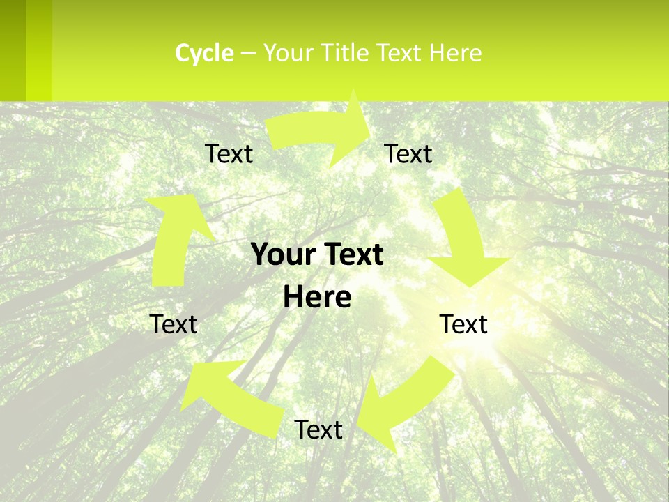 A Green Forest With The Sun Shining Through The Trees PowerPoint Template