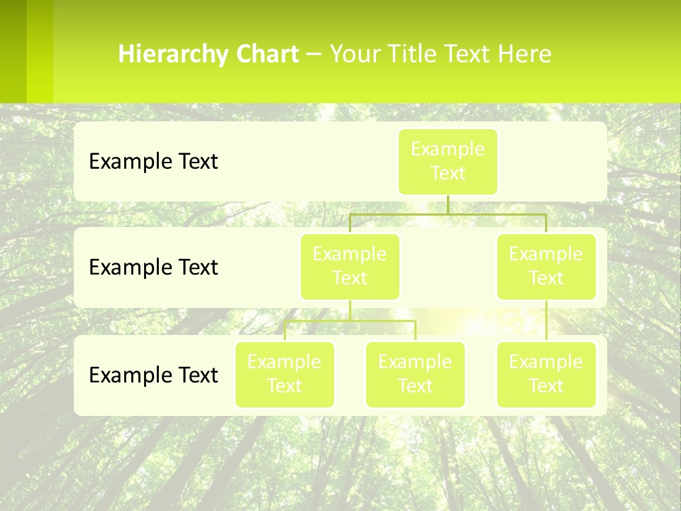 A Green Forest With The Sun Shining Through The Trees PowerPoint Template