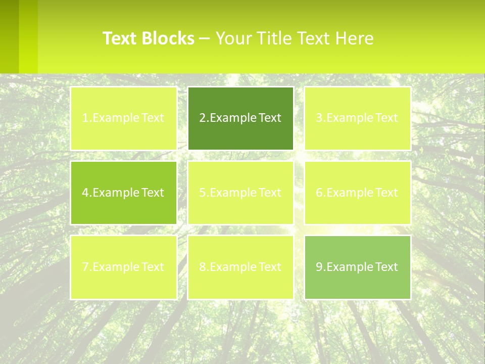 A Green Forest With The Sun Shining Through The Trees PowerPoint Template