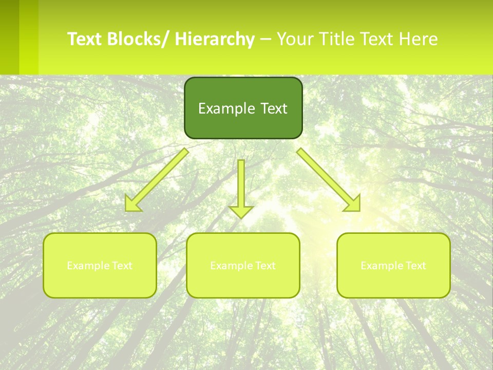 A Green Forest With The Sun Shining Through The Trees PowerPoint Template