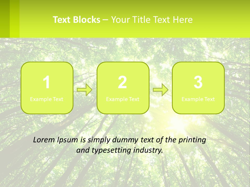 A Green Forest With The Sun Shining Through The Trees PowerPoint Template
