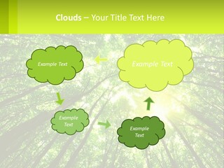 A Green Forest With The Sun Shining Through The Trees PowerPoint Template