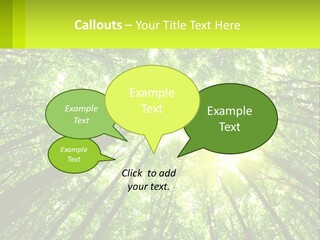 A Green Forest With The Sun Shining Through The Trees PowerPoint Template
