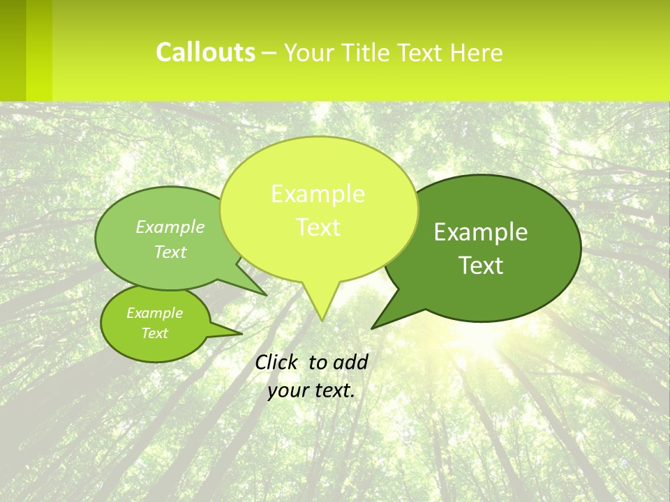 A Green Forest With The Sun Shining Through The Trees PowerPoint Template