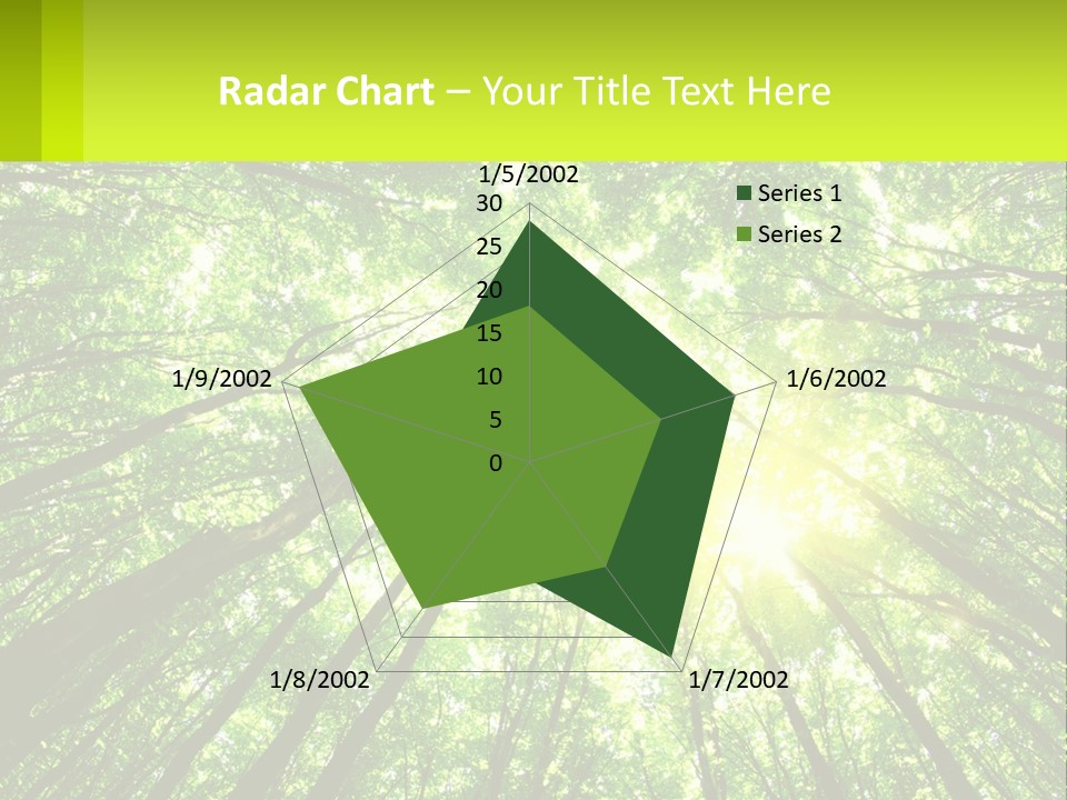 A Green Forest With The Sun Shining Through The Trees PowerPoint Template