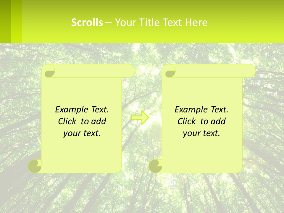 A Green Forest With The Sun Shining Through The Trees PowerPoint Template