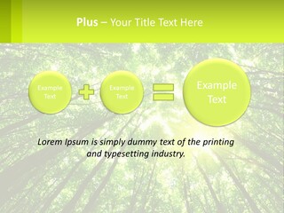 A Green Forest With The Sun Shining Through The Trees PowerPoint Template