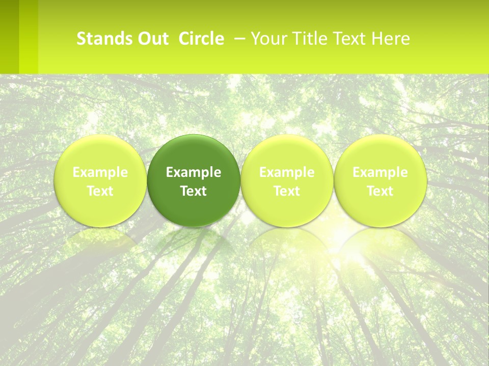 A Green Forest With The Sun Shining Through The Trees PowerPoint Template