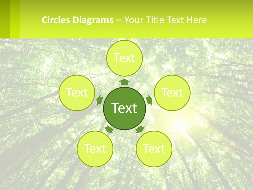 A Green Forest With The Sun Shining Through The Trees PowerPoint Template