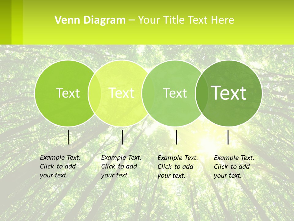 A Green Forest With The Sun Shining Through The Trees PowerPoint Template