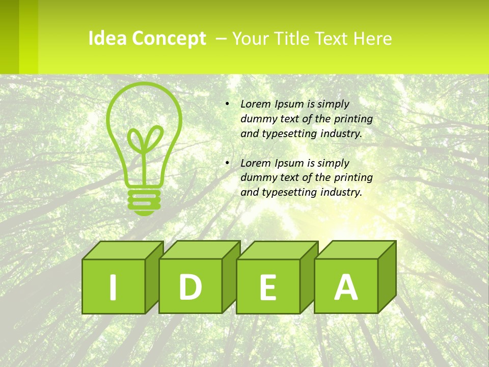 A Green Forest With The Sun Shining Through The Trees PowerPoint Template