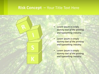 A Green Forest With The Sun Shining Through The Trees PowerPoint Template