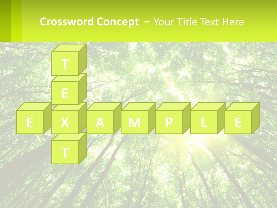 A Green Forest With The Sun Shining Through The Trees PowerPoint Template