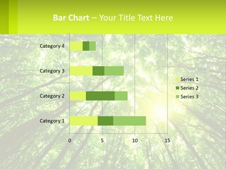 A Green Forest With The Sun Shining Through The Trees PowerPoint Template