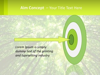 A Green Forest With The Sun Shining Through The Trees PowerPoint Template