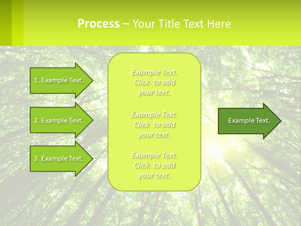 A Green Forest With The Sun Shining Through The Trees PowerPoint Template