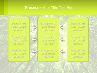 A Green Forest With The Sun Shining Through The Trees PowerPoint Template