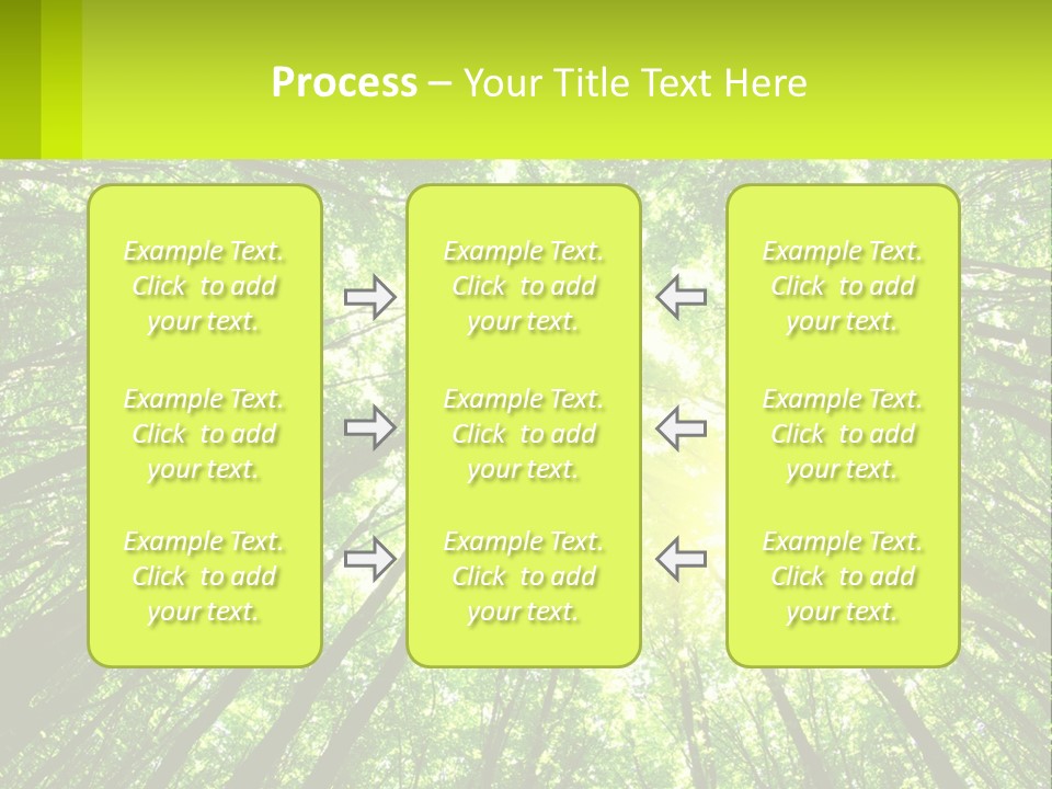 A Green Forest With The Sun Shining Through The Trees PowerPoint Template