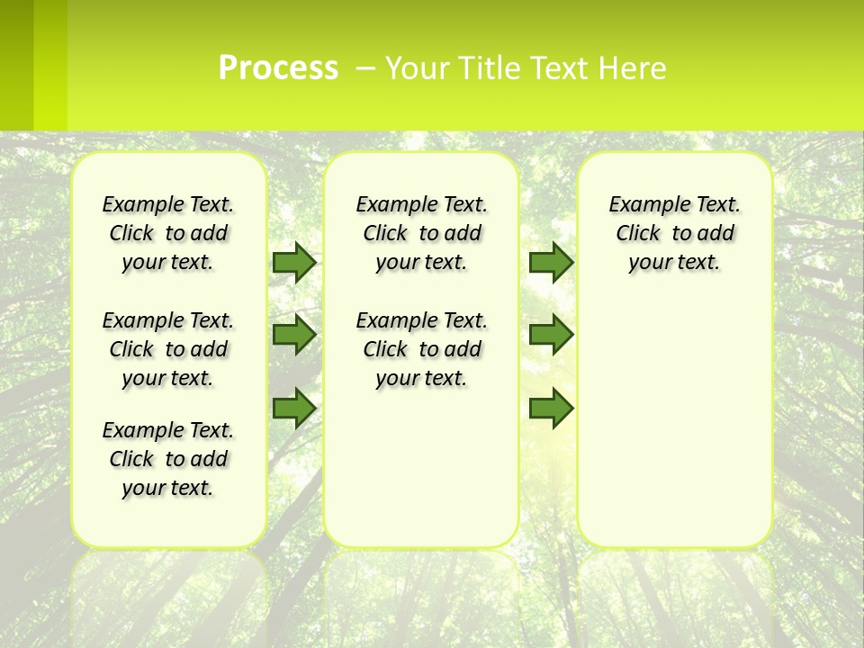 A Green Forest With The Sun Shining Through The Trees PowerPoint Template