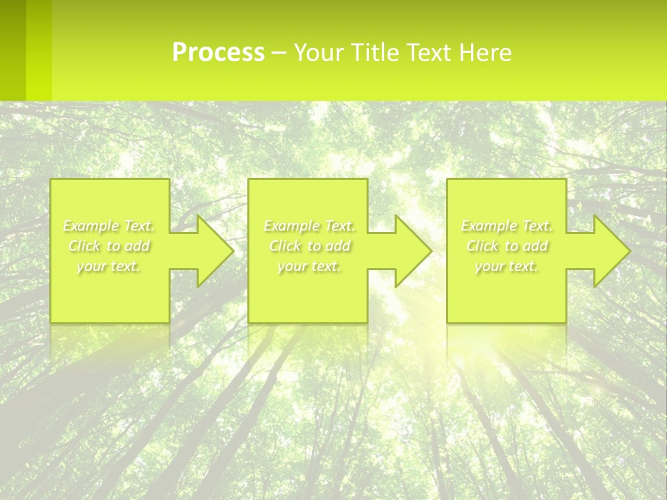 A Green Forest With The Sun Shining Through The Trees PowerPoint Template