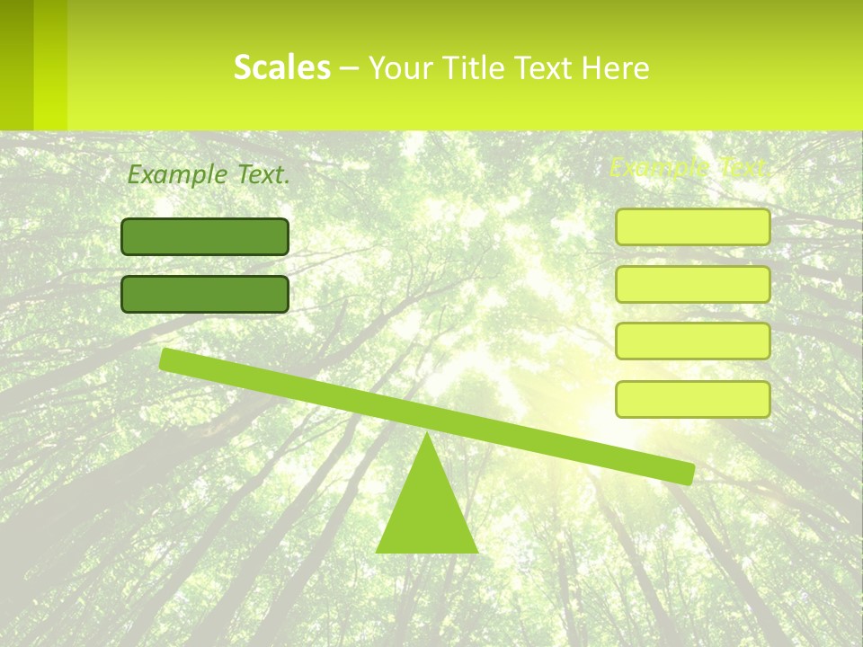 A Green Forest With The Sun Shining Through The Trees PowerPoint Template