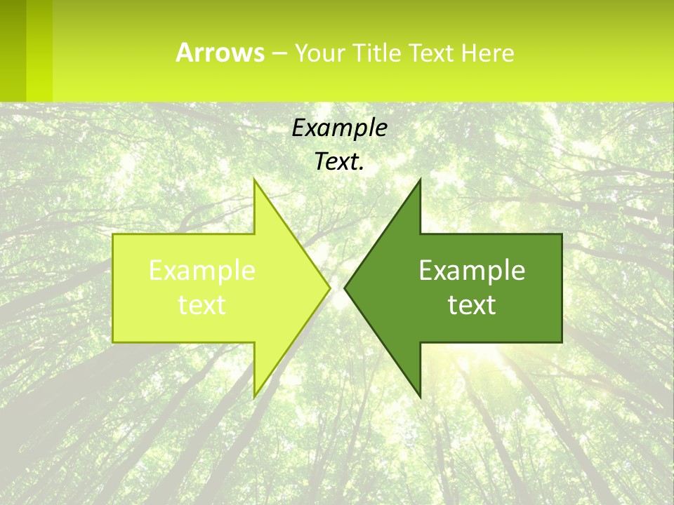 A Green Forest With The Sun Shining Through The Trees PowerPoint Template