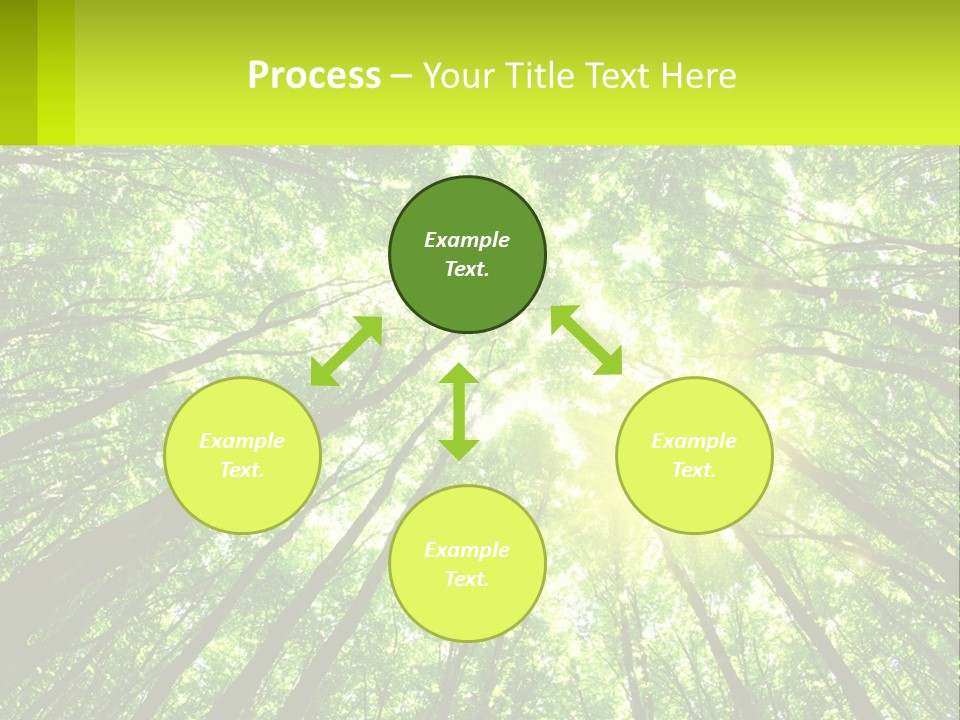 A Green Forest With The Sun Shining Through The Trees PowerPoint Template