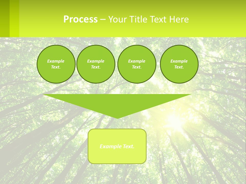 A Green Forest With The Sun Shining Through The Trees PowerPoint Template