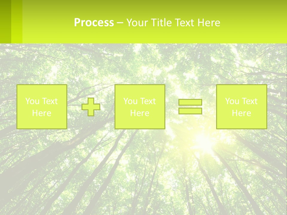A Green Forest With The Sun Shining Through The Trees PowerPoint Template