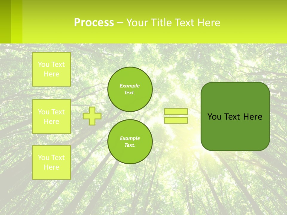 A Green Forest With The Sun Shining Through The Trees PowerPoint Template