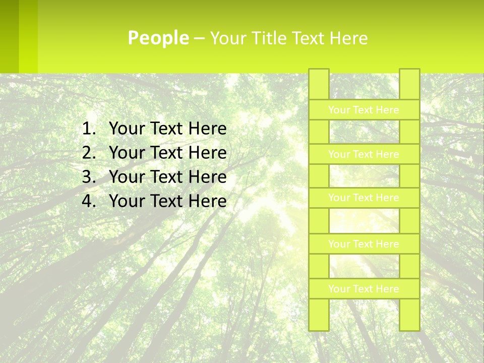 A Green Forest With The Sun Shining Through The Trees PowerPoint Template