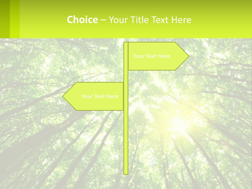 A Green Forest With The Sun Shining Through The Trees PowerPoint Template