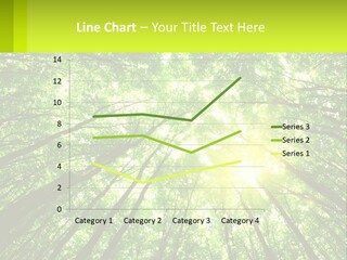 A Green Forest With The Sun Shining Through The Trees PowerPoint Template
