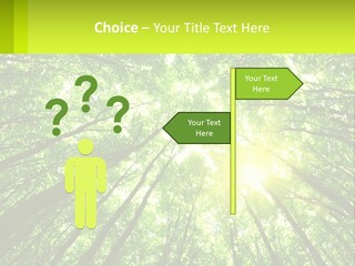 A Green Forest With The Sun Shining Through The Trees PowerPoint Template