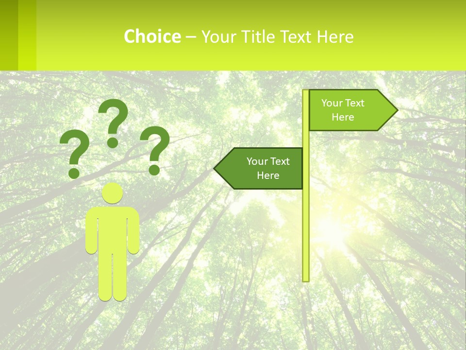 A Green Forest With The Sun Shining Through The Trees PowerPoint Template