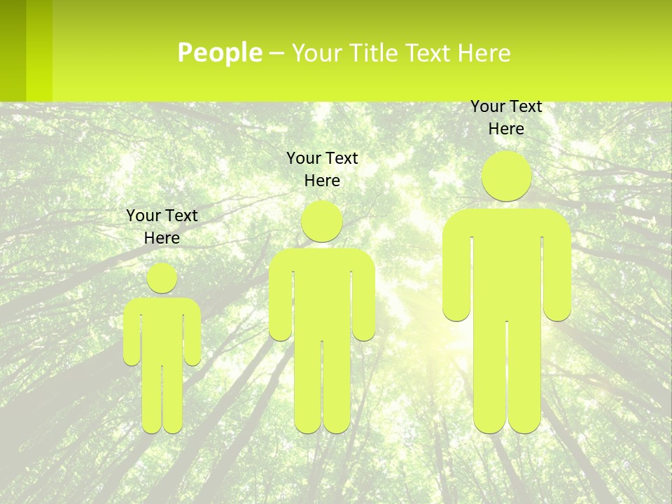 A Green Forest With The Sun Shining Through The Trees PowerPoint Template