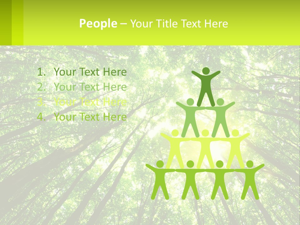 A Green Forest With The Sun Shining Through The Trees PowerPoint Template