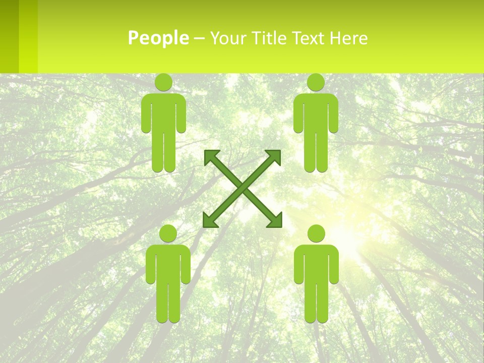 A Green Forest With The Sun Shining Through The Trees PowerPoint Template