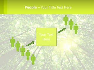 A Green Forest With The Sun Shining Through The Trees PowerPoint Template
