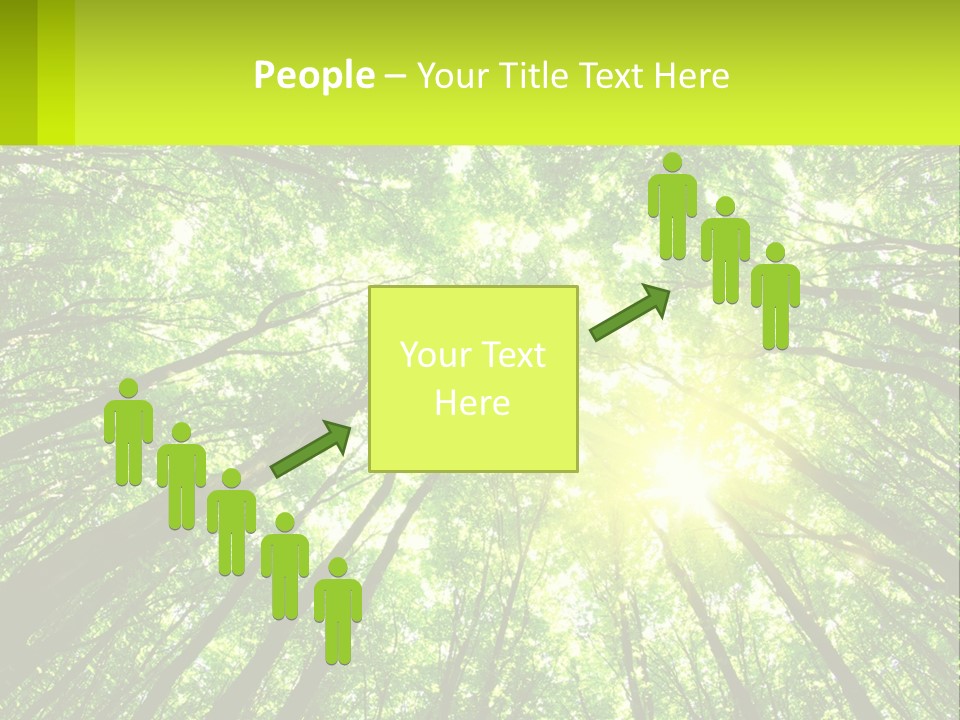 A Green Forest With The Sun Shining Through The Trees PowerPoint Template