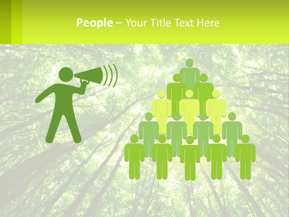 A Green Forest With The Sun Shining Through The Trees PowerPoint Template