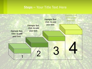 A Green Forest With The Sun Shining Through The Trees PowerPoint Template