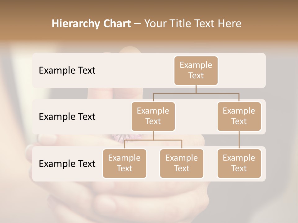 A Man And A Woman Holding A Flower In Their Hands PowerPoint Template