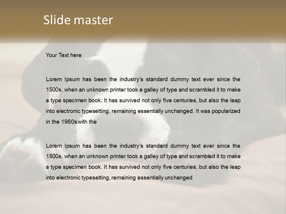 A Black And White Dog Laying On Top Of A Bed PowerPoint Template