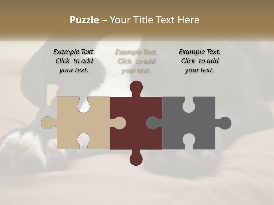 A Black And White Dog Laying On Top Of A Bed PowerPoint Template