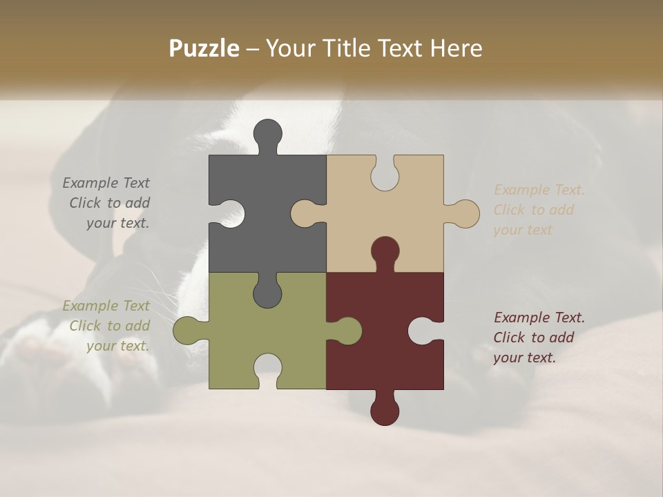 A Black And White Dog Laying On Top Of A Bed PowerPoint Template