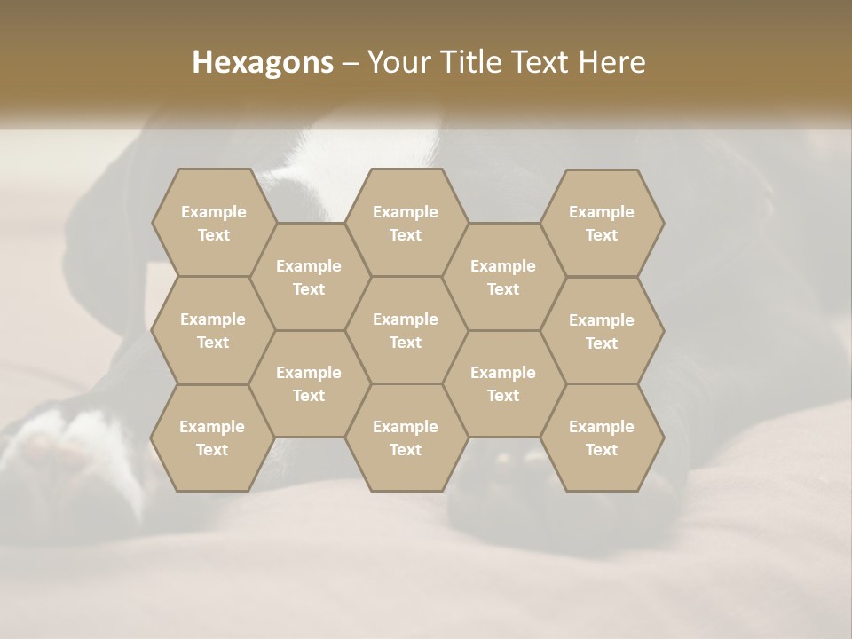 A Black And White Dog Laying On Top Of A Bed PowerPoint Template