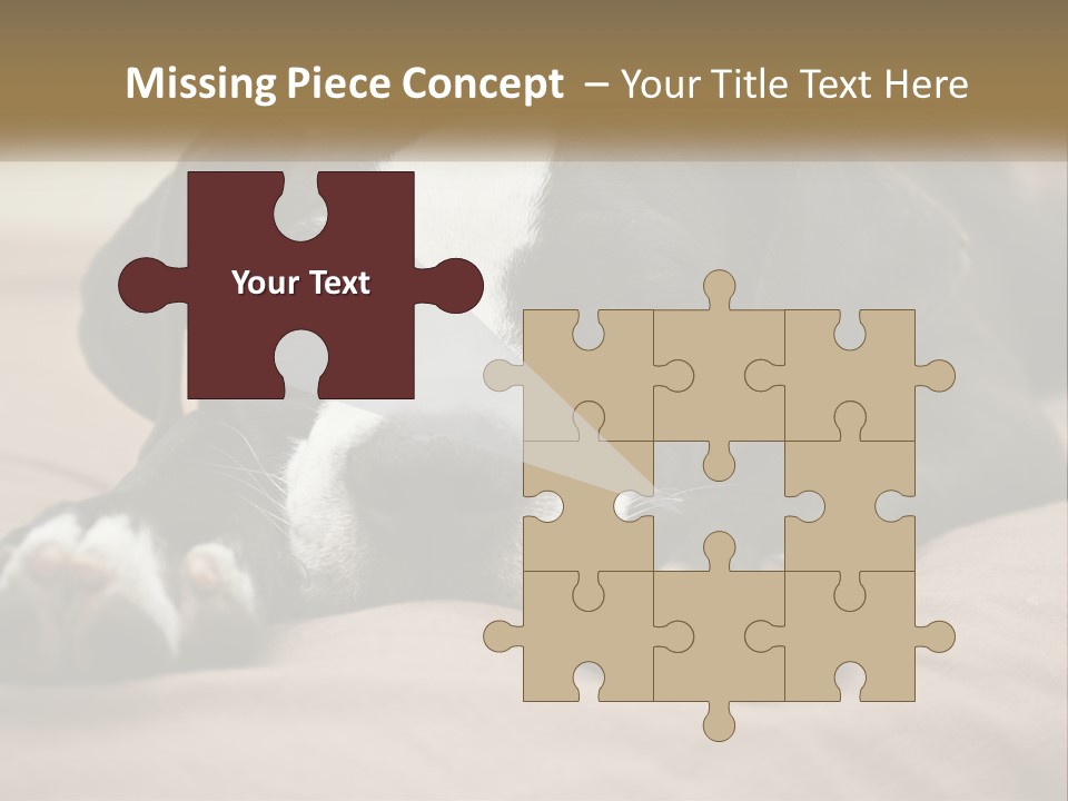 A Black And White Dog Laying On Top Of A Bed PowerPoint Template