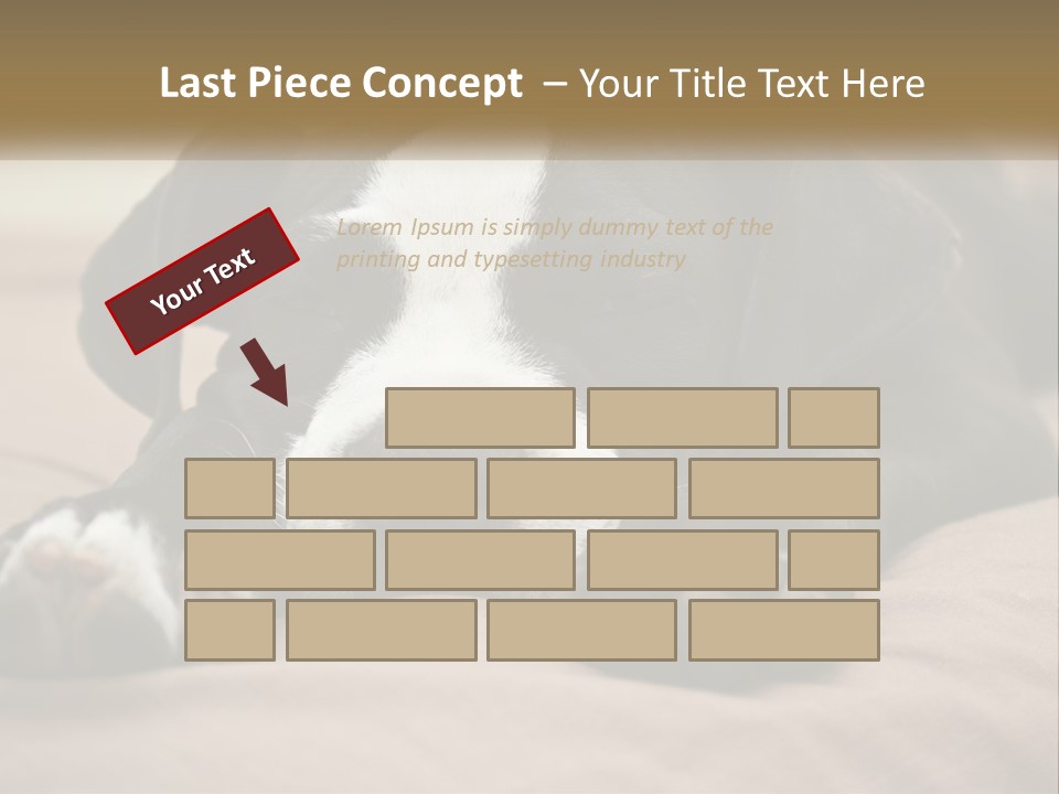 A Black And White Dog Laying On Top Of A Bed PowerPoint Template